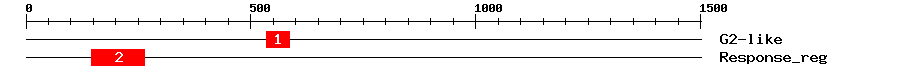 Signature Domain