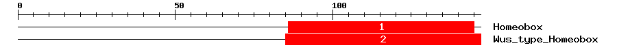 Signature Domain