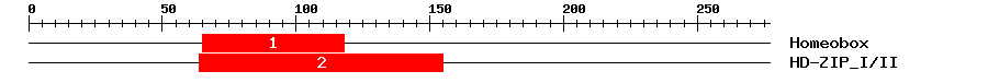 Signature Domain