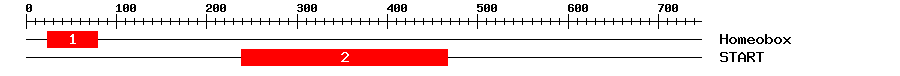 Signature Domain