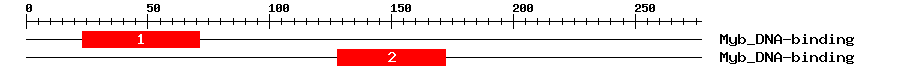 Signature Domain