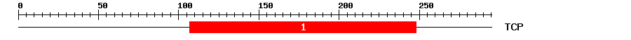 Signature Domain