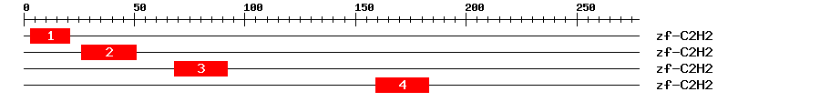 Signature Domain