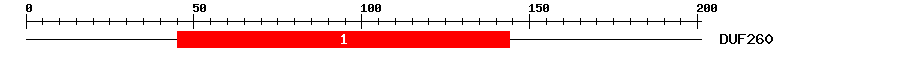 Signature Domain