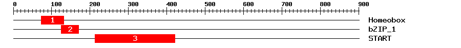 Signature Domain