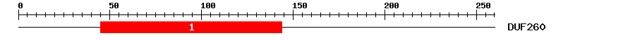 Signature Domain