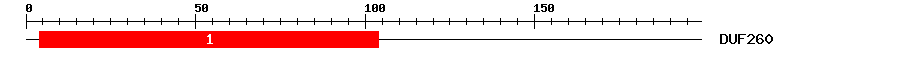 Signature Domain