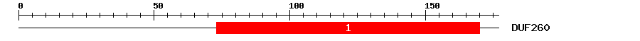 Signature Domain