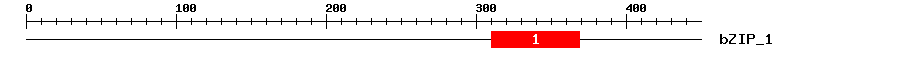 Signature Domain