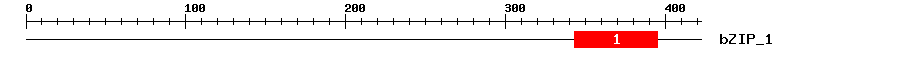 Signature Domain