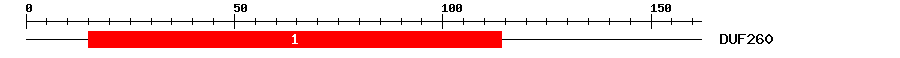 Signature Domain