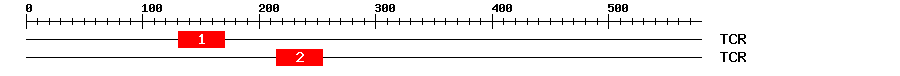 Signature Domain