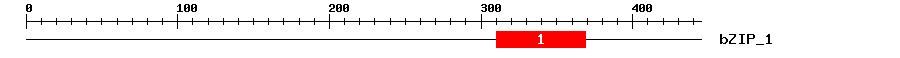 Signature Domain