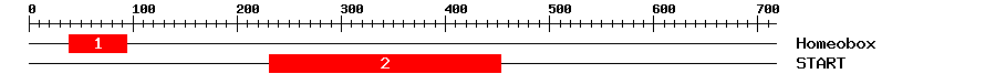 Signature Domain