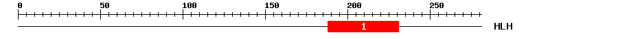 Signature Domain