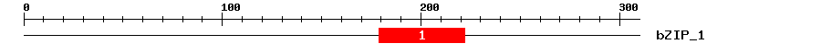 Signature Domain