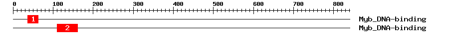 Signature Domain