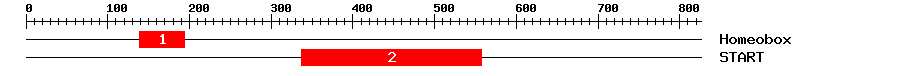 Signature Domain