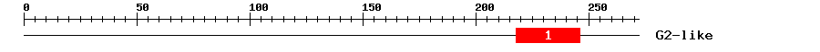 Signature Domain