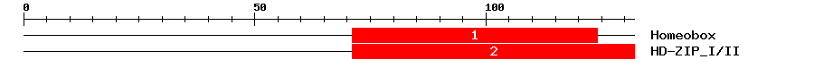 Signature Domain