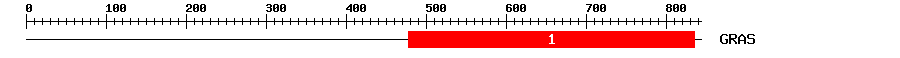 Signature Domain
