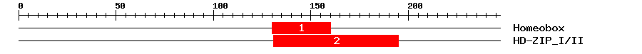 Signature Domain