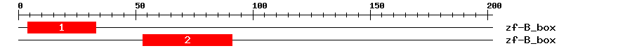 Signature Domain