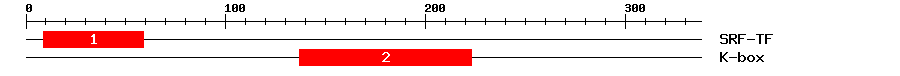 Signature Domain