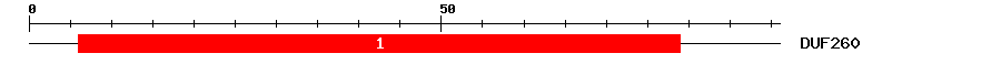 Signature Domain
