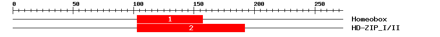 Signature Domain