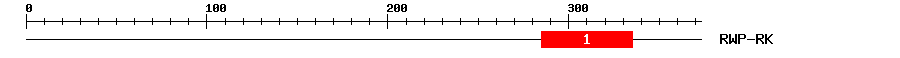 Signature Domain