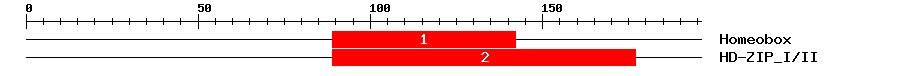 Signature Domain