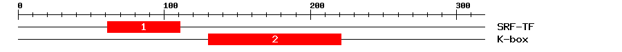 Signature Domain
