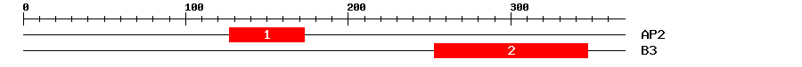 Signature Domain