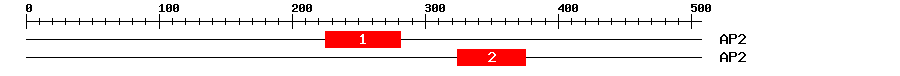 Signature Domain