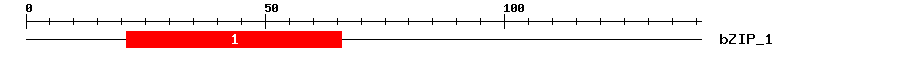 Signature Domain