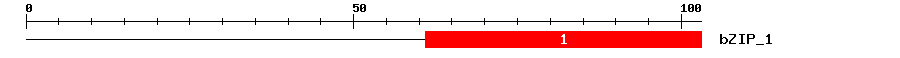 Signature Domain