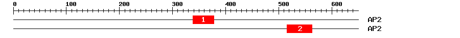 Signature Domain