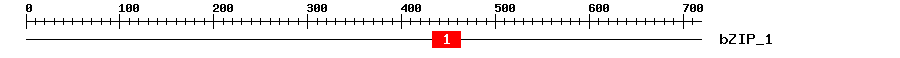 Signature Domain