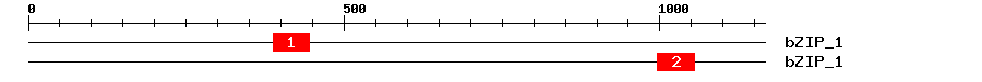 Signature Domain