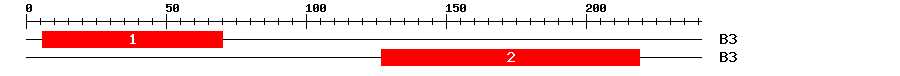 Signature Domain