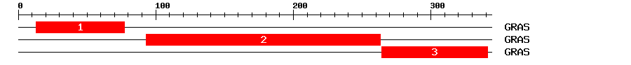 Signature Domain