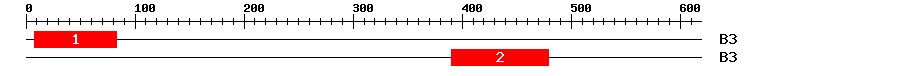 Signature Domain