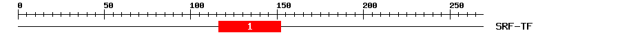 Signature Domain