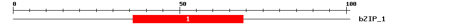 Signature Domain