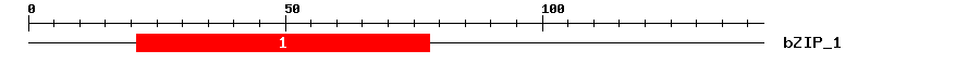 Signature Domain