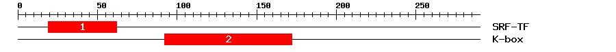 Signature Domain
