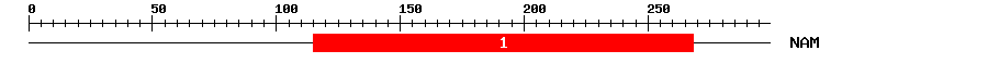 Signature Domain