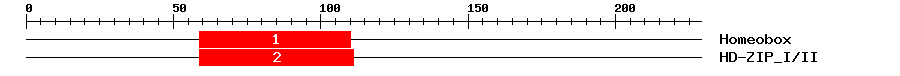 Signature Domain