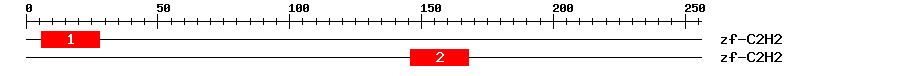 Signature Domain